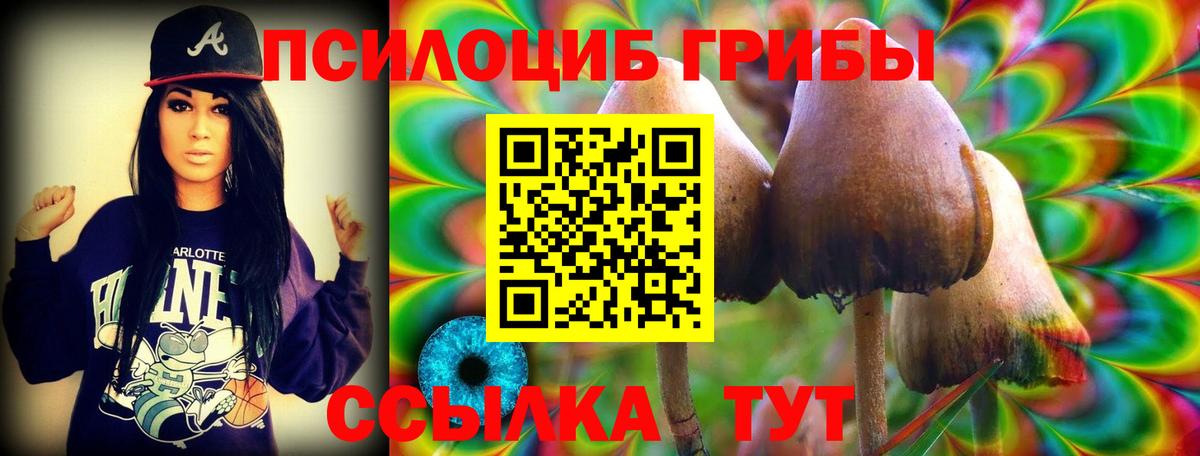 Шахты  Псилоцибиновые грибы Cubensis  Вход с VPN 